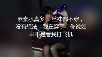 桃花源 THY0007 黑丝美乳兔女郎的报复