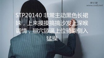 STP20140 非常主动黑色长裙妹，上来摸摸搞搞沙发上深喉调情，掰穴舔逼上位骑乘侧入猛操