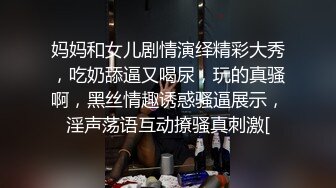 骚妻双龙进洞