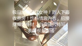 STP29091 【高端奢华顶级空姐】超美商务模特『小一一』极品女神重磅回归 又骚又御《此女只应天上有 人间谁配操一回》