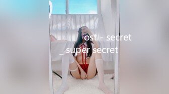 말할 수 없는 비밀 ost - secret 편곡 _ super secret