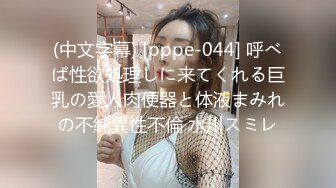 (中文字幕) [pppe-044] 呼べば性欲処理しに来てくれる巨乳の愛人肉便器と体液まみれの不純異性不倫 水川スミレ