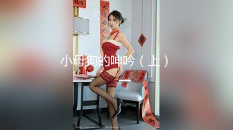 小母狗的呻吟（上）