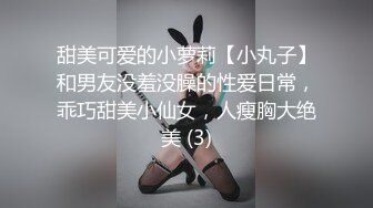 《极品御姐㊙️究极泄密》露脸才是王道！高颜气质网红女神【禧阿妹】私拍，表里不一极度反差，情趣紫薇3P肛交被炮友各种干 (3)