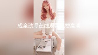 探花沈先生爆操情趣黑丝外围女