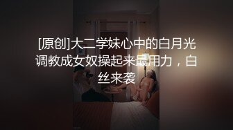 1/14最新 他人做爱魔鬼身材的小姐姐叫床真销魂VIP1196