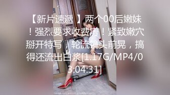 完成性投诉处理的资深办公室女士