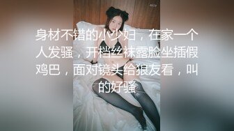 高价良家云盘流出【beauty】(上)，极品反差女友，爱旅游爱分享，日常生活照及性爱视频