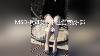 MSD-054女秘书性爱商谈-郭童童