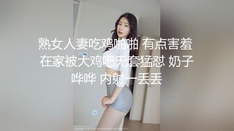 小母狗红丝包臀裙来撩我，直接后入