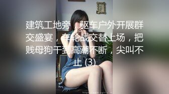 淫妻大神近期新作【番尼君】分享老婆，喜欢找单男和换妻，质量挺高，淫乱大场面，下