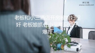 【AI换脸视频】杨紫 被摄影师潜规则