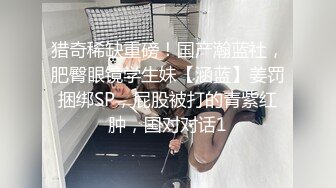 涩会传媒 SH-009 美女特工为了救哥哥不惜出卖身体