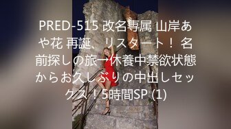 PRED-515 改名専属 山岸あや花 再誕、リスタート！ 名前探しの旅→休養中禁欲状態からお久しぶりの中出しセックス！5時間SP (1)