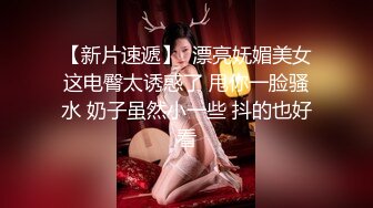 Al&mdash;索菲娅&middot;维加拉 爆乳女仆