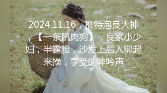 2024.11.16，推特泡良大神，【一条肌肉狗】，良家小少妇，半露脸，沙发上后入绑起来操，享受的呻吟声