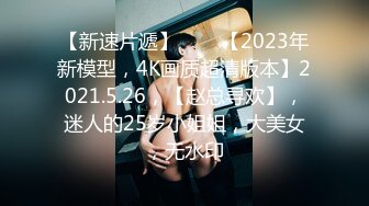 【新速片遞】⭐⭐⭐【2023年新模型，4K画质超清版本】2021.5.26，【赵总寻欢】，迷人的25岁小姐姐，大美女，无水印