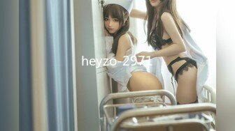 heyzo-2971