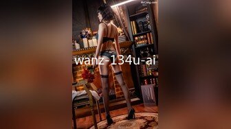 wanz-134u-ai