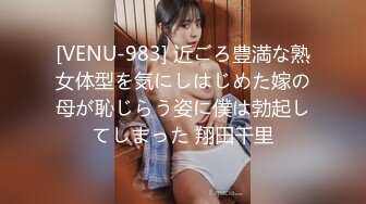 FC2PPV-4529642-あの【 爆乳美女シリーズ 】 の美女3名を厳選