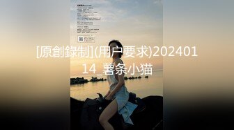 [原創錄制](用户要求)20240114_薯条小猫